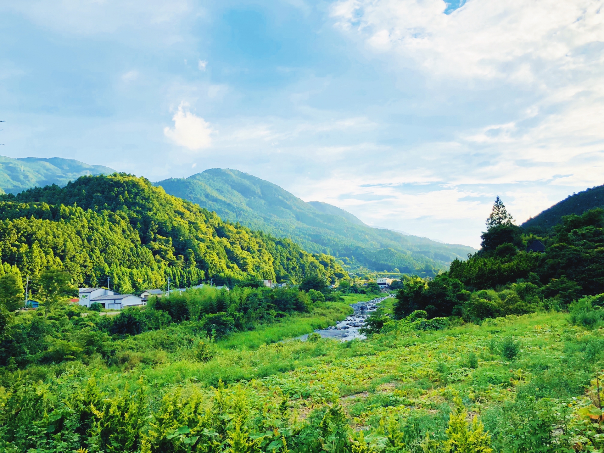 乾燥よもぎ 国産 よもぎ風呂 ヨモギ蒸し用 ウーマンズケア よもぎ蒸し商品